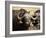 Close-Up of African Buffalo, Mala Mala Game Reserve, Sabi Sand Park, South Africa, Africa-Sergio Pitamitz-Framed Photographic Print