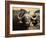 Close-Up of African Buffalo, Mala Mala Game Reserve, Sabi Sand Park, South Africa, Africa-Sergio Pitamitz-Framed Photographic Print