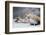 Close-up of African pygmy hedgehog-null-Framed Photographic Print