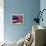 Close-up of American Flag-null-Framed Premier Image Canvas displayed on a wall