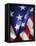 Close-up of American Flag-Rick Barrentine-Framed Premier Image Canvas