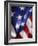 Close-up of American Flag-Rick Barrentine-Framed Photographic Print