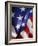 Close-up of American Flag-Rick Barrentine-Framed Photographic Print