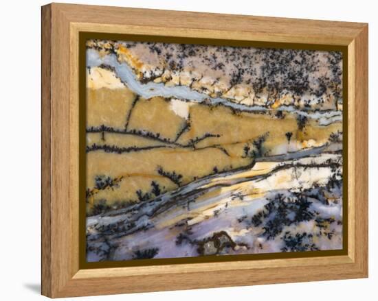 Close-Up of Amethyst Sage Agate, Nevada, USA-Dennis Kirkland-Framed Premier Image Canvas