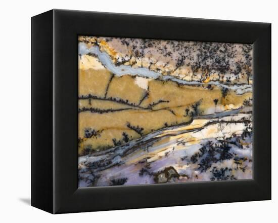 Close-Up of Amethyst Sage Agate, Nevada, USA-Dennis Kirkland-Framed Premier Image Canvas