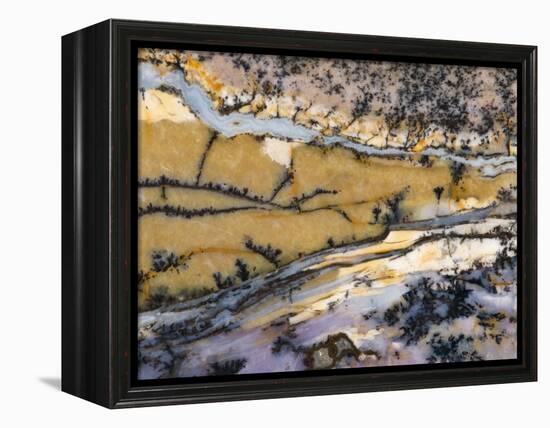 Close-Up of Amethyst Sage Agate, Nevada, USA-Dennis Kirkland-Framed Premier Image Canvas