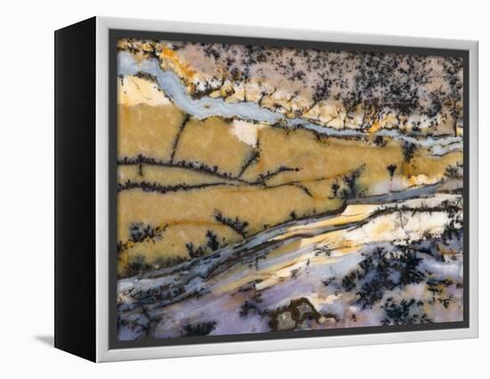 Close-Up of Amethyst Sage Agate, Nevada, USA-Dennis Kirkland-Framed Premier Image Canvas