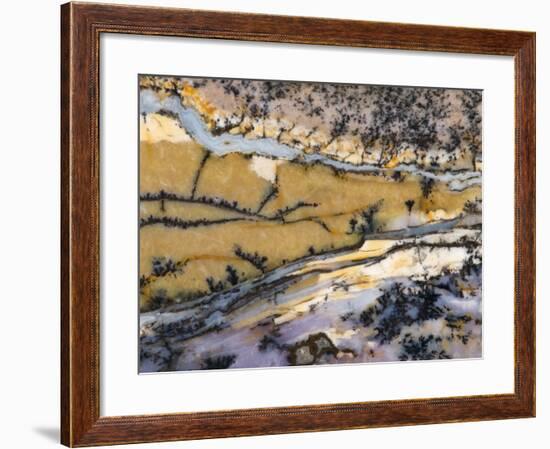 Close-Up of Amethyst Sage Agate, Nevada, USA-Dennis Kirkland-Framed Premium Photographic Print