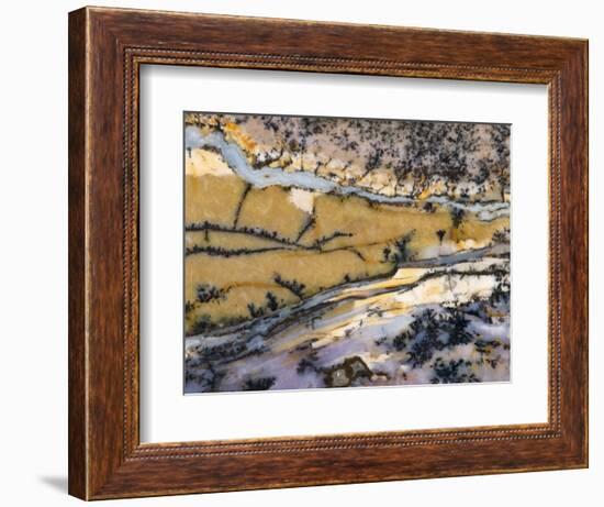 Close-Up of Amethyst Sage Agate, Nevada, USA-Dennis Kirkland-Framed Photographic Print