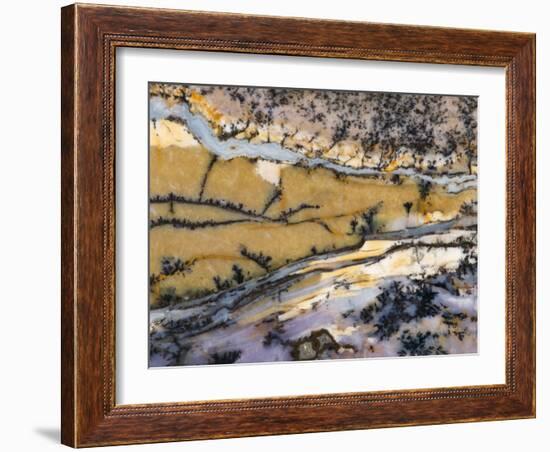 Close-Up of Amethyst Sage Agate, Nevada, USA-Dennis Kirkland-Framed Photographic Print