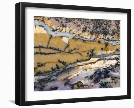 Close-Up of Amethyst Sage Agate, Nevada, USA-Dennis Kirkland-Framed Photographic Print