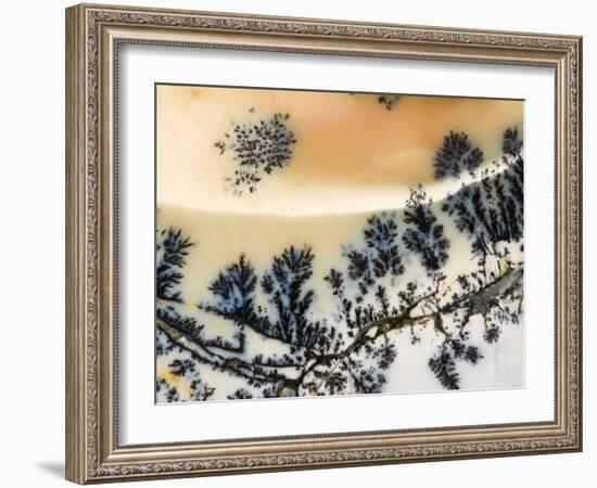 Close-Up of Amethyst Sage Agate, Nevada, USA-Dennis Kirkland-Framed Photographic Print