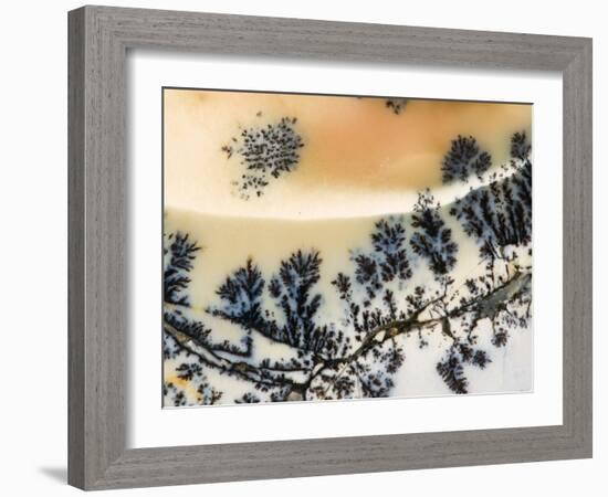 Close-Up of Amethyst Sage Agate, Nevada, USA-Dennis Kirkland-Framed Photographic Print