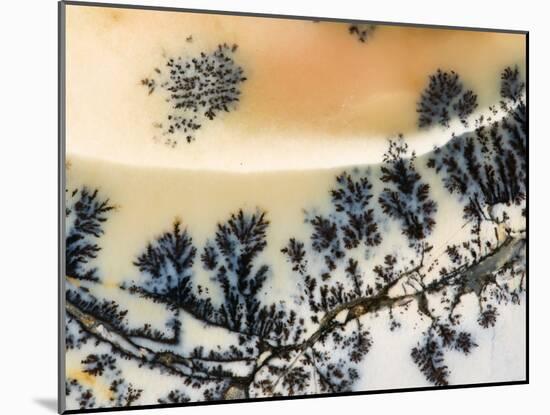 Close-Up of Amethyst Sage Agate, Nevada, USA-Dennis Kirkland-Mounted Photographic Print