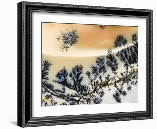 Close-Up of Amethyst Sage Agate, Nevada, USA-Dennis Kirkland-Framed Photographic Print