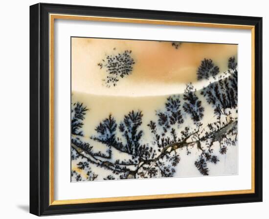 Close-Up of Amethyst Sage Agate, Nevada, USA-Dennis Kirkland-Framed Photographic Print