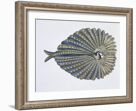 Close-Up of an Argus Pheasant Dancing with its Wings-null-Framed Giclee Print