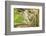 Close Up of an Eastern Gray Squirrel Scratching Itself on Branch-Rona Schwarz-Framed Photographic Print