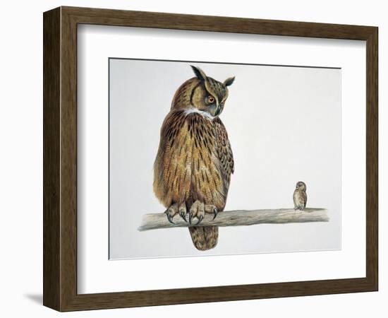 Close-Up of an Eurasian Eagle Owl (Bubo Bubo) Perching on a Branch with an Eurasian Pygmy Owl (Glau-null-Framed Giclee Print