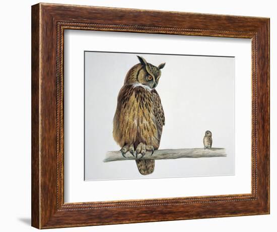 Close-Up of an Eurasian Eagle Owl (Bubo Bubo) Perching on a Branch with an Eurasian Pygmy Owl (Glau-null-Framed Giclee Print