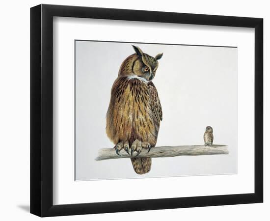 Close-Up of an Eurasian Eagle Owl (Bubo Bubo) Perching on a Branch with an Eurasian Pygmy Owl (Glau-null-Framed Giclee Print