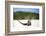 Close-Up of an Iguana on the Beach Near Staniel Cay, Exuma, Bahamas-James White-Framed Photographic Print