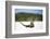 Close-Up of an Iguana on the Beach Near Staniel Cay, Exuma, Bahamas-James White-Framed Photographic Print