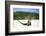 Close-Up of an Iguana on the Beach Near Staniel Cay, Exuma, Bahamas-James White-Framed Photographic Print