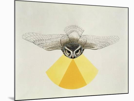 Close-Up of an Owl with its Field of Vision-null-Mounted Giclee Print