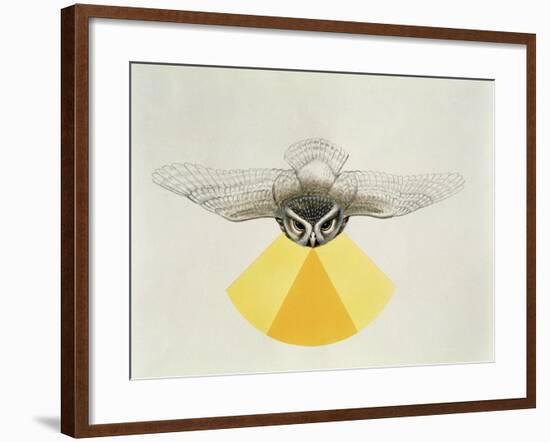 Close-Up of an Owl with its Field of Vision-null-Framed Giclee Print