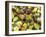 Close-up of Ants Harvesting Honeydew from Aphids, Lakeside, California, USA-Christopher Talbot Frank-Framed Photographic Print