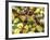 Close-up of Ants Harvesting Honeydew from Aphids, Lakeside, California, USA-Christopher Talbot Frank-Framed Photographic Print