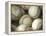 Close-up of Baseballs-null-Framed Premier Image Canvas