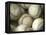 Close-up of Baseballs-null-Framed Premier Image Canvas