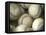 Close-up of Baseballs-null-Framed Premier Image Canvas