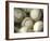 Close-up of Baseballs-null-Framed Photographic Print