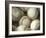 Close-up of Baseballs-null-Framed Photographic Print