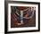 Close-Up of Bead Necklaces of a Hamer Woman, Turmi, Omo Region, Ethiopia, Africa-Carlo Morucchio-Framed Photographic Print