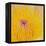 Close up of Beautiful Yellow Water Lily-Panu Ruangjan-Framed Stretched Canvas