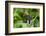 Close-Up of Bee on Flower Bud-Matt Freedman-Framed Photographic Print