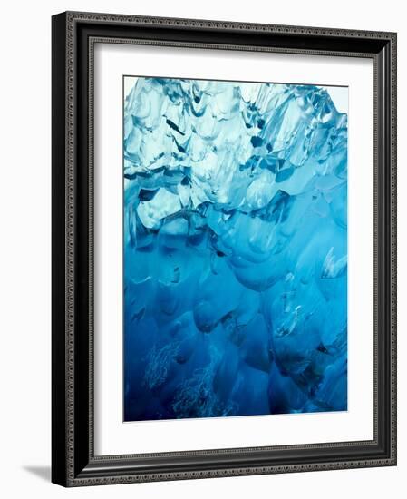 Close-up of blue ice in an iceberg in Alaska.-Stuart Westmorland-Framed Photographic Print