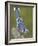 Close-up of Blue Jay on Dead Tree Limb, Rondeau Provincial Park, Ontario, Canada-Arthur Morris-Framed Photographic Print