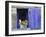 Close-Up of Blue Shutter, Window and Yellow Pansies, Villefranche Sur Mer, Provence, France-Bruno Morandi-Framed Photographic Print