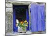 Close-Up of Blue Shutter, Window and Yellow Pansies, Villefranche Sur Mer, Provence, France-Bruno Morandi-Mounted Photographic Print