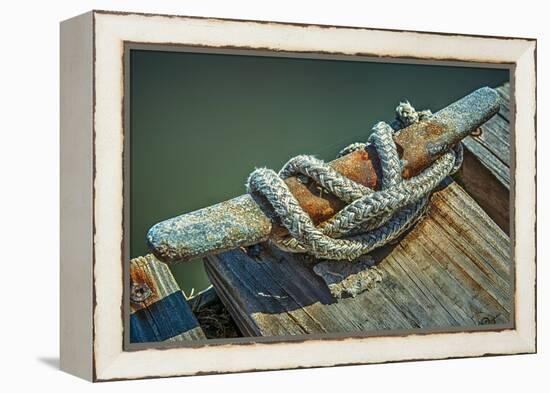 Close Up of Boat Cleat and Rope-Rona Schwarz-Framed Premier Image Canvas