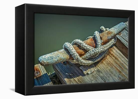 Close Up of Boat Cleat and Rope-Rona Schwarz-Framed Premier Image Canvas