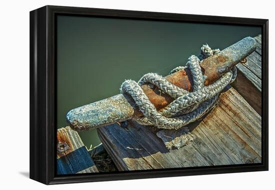 Close Up of Boat Cleat and Rope-Rona Schwarz-Framed Premier Image Canvas