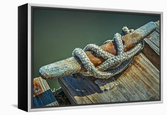 Close Up of Boat Cleat and Rope-Rona Schwarz-Framed Premier Image Canvas