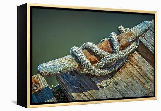 Close Up of Boat Cleat and Rope-Rona Schwarz-Framed Premier Image Canvas