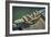 Close Up of Boat Cleat and Rope-Rona Schwarz-Framed Photographic Print